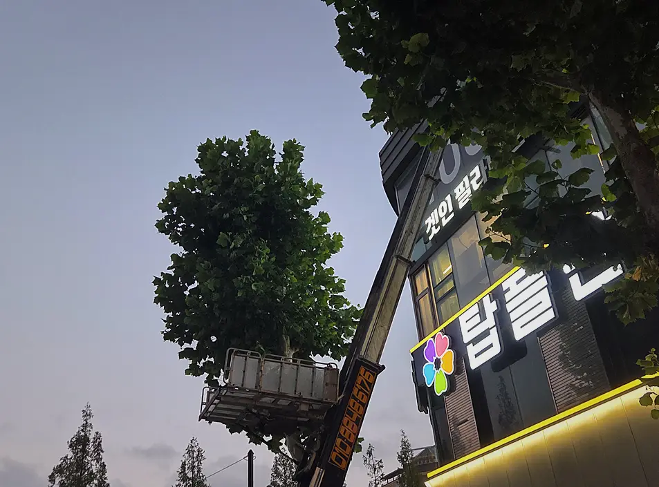 종로구 사무실 산업폐기물 업체 가정·이사 폐기물
