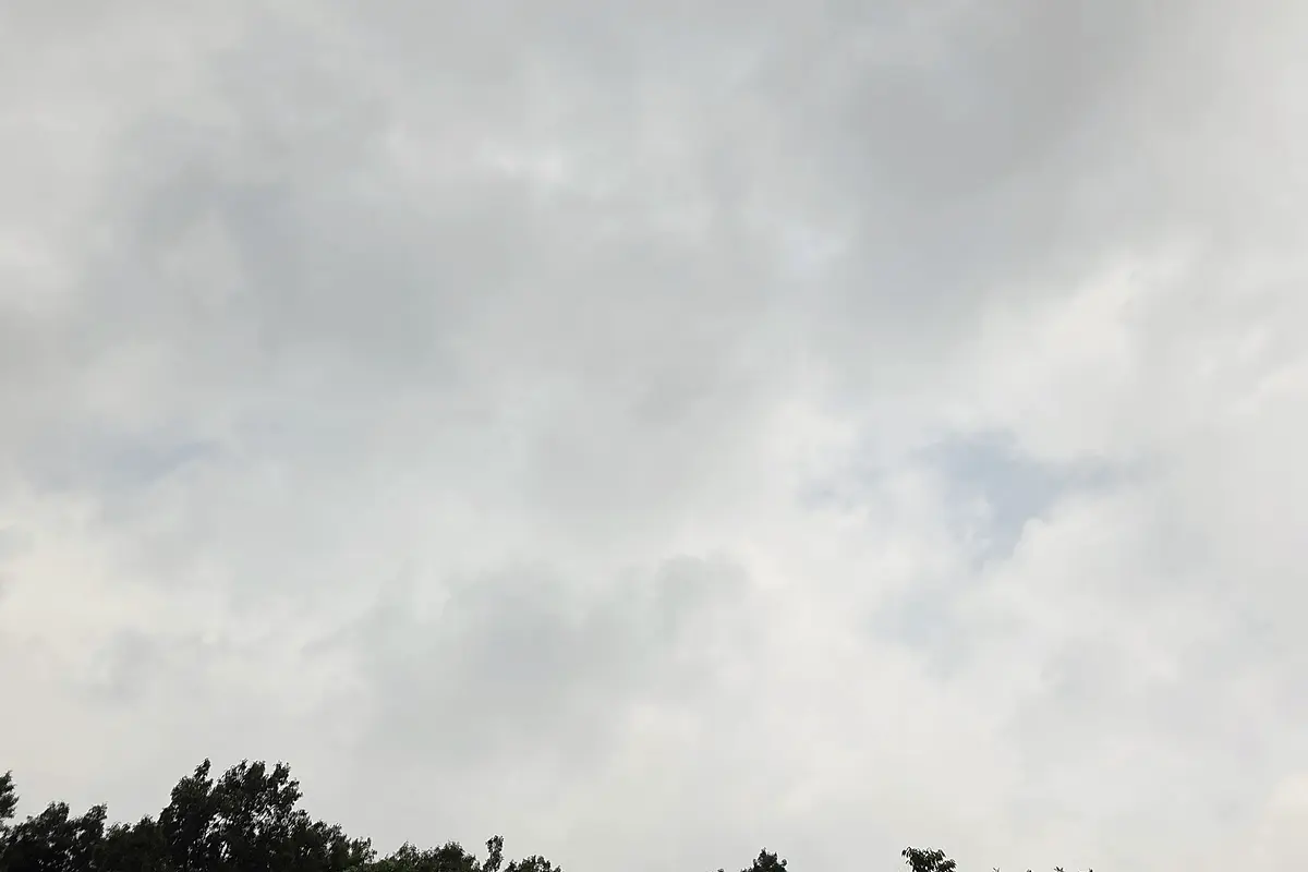 양천구 산업폐기물수거 현장 사진 3