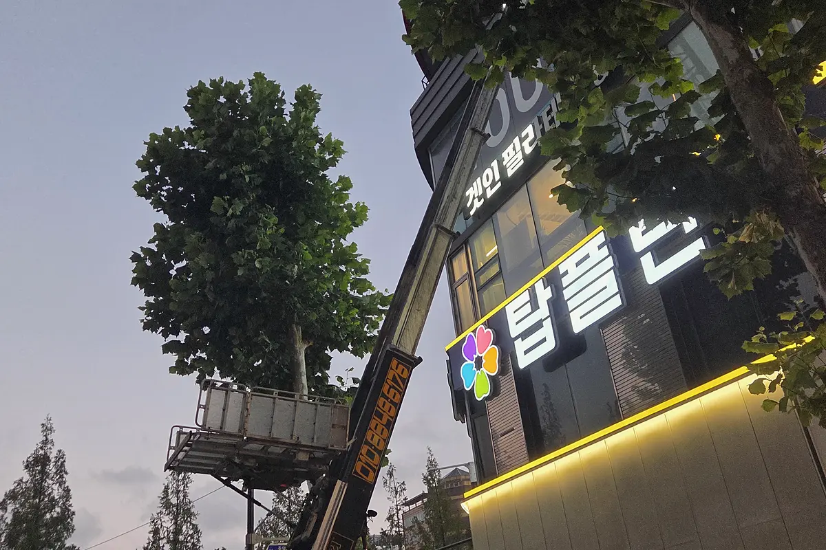 광진구 주택 대형폐기물 비용 현장 사진 4
