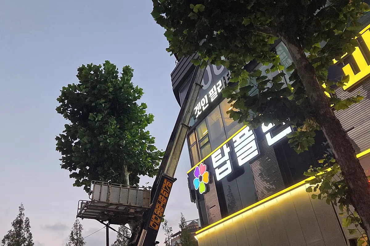 인천 동구 빌라 이사 폐기물 현장 사진 5